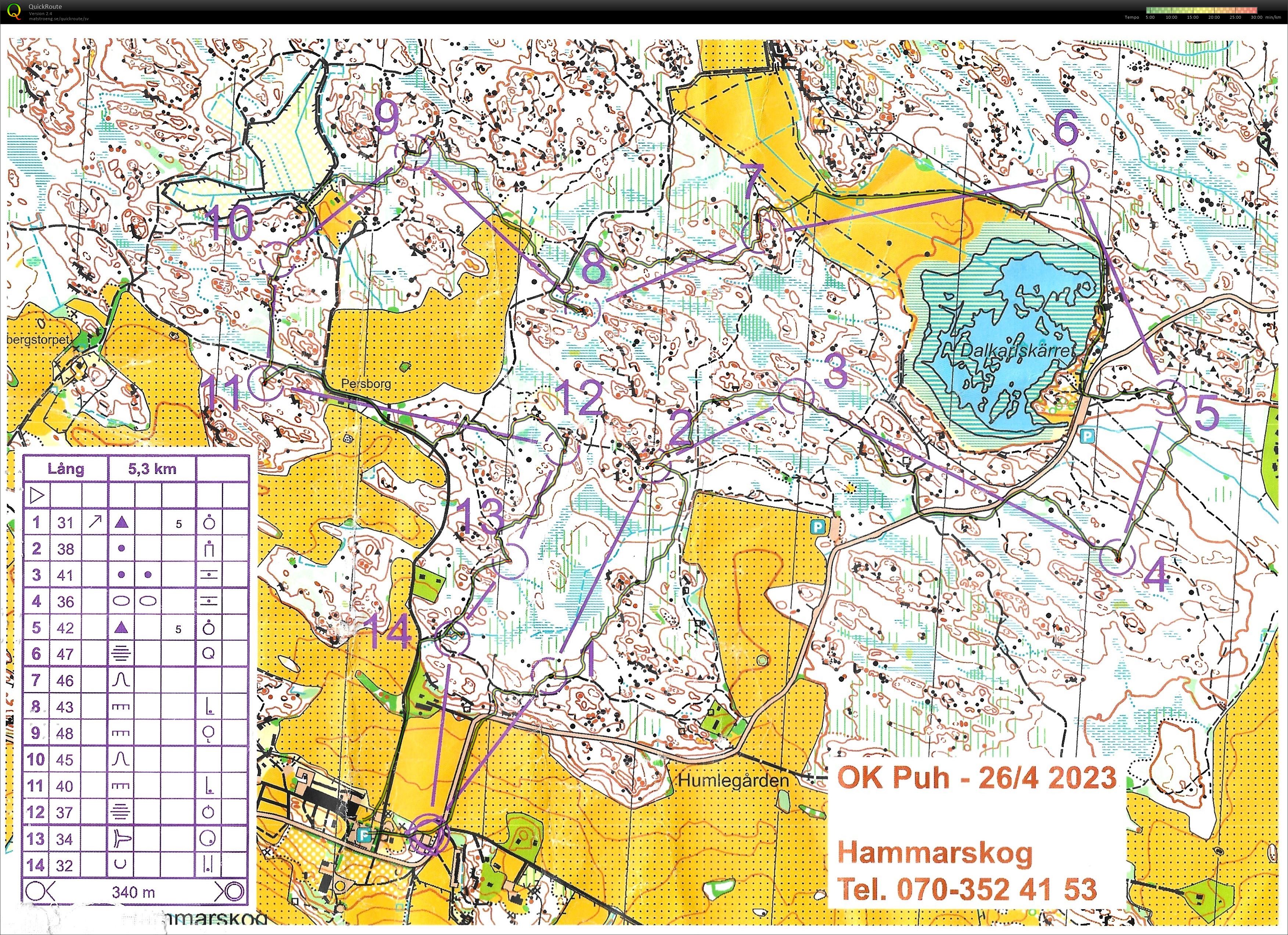 Hammarskog (26.04.2023)