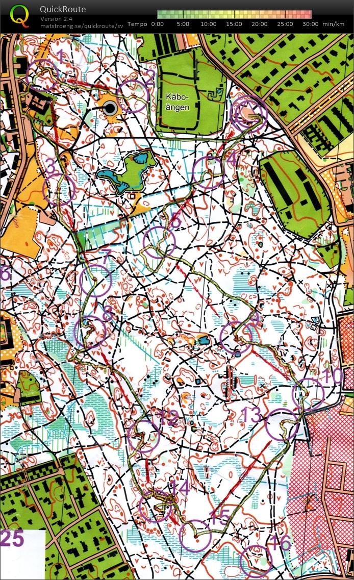 Löslapp i Stadsskogen (2025-01-11)